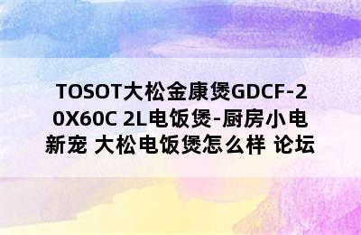 TOSOT大松金康煲GDCF-20X60C 2L电饭煲-厨房小电新宠 大松电饭煲怎么样 论坛